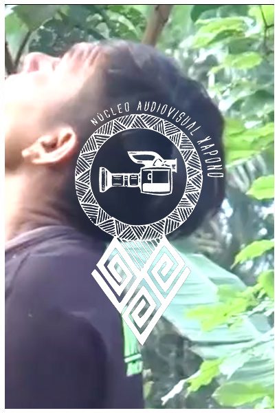 7_NAX_Roberval_apanhando_pupunha